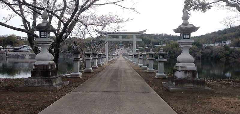 香川町龍満池の御旅所から見た川東八幡（龍桜公園)